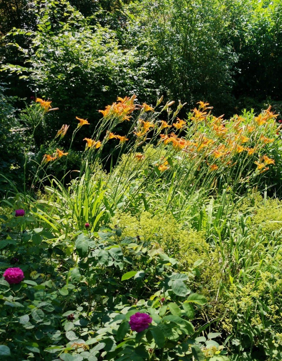Garten Einfamilienhaus Weilburg