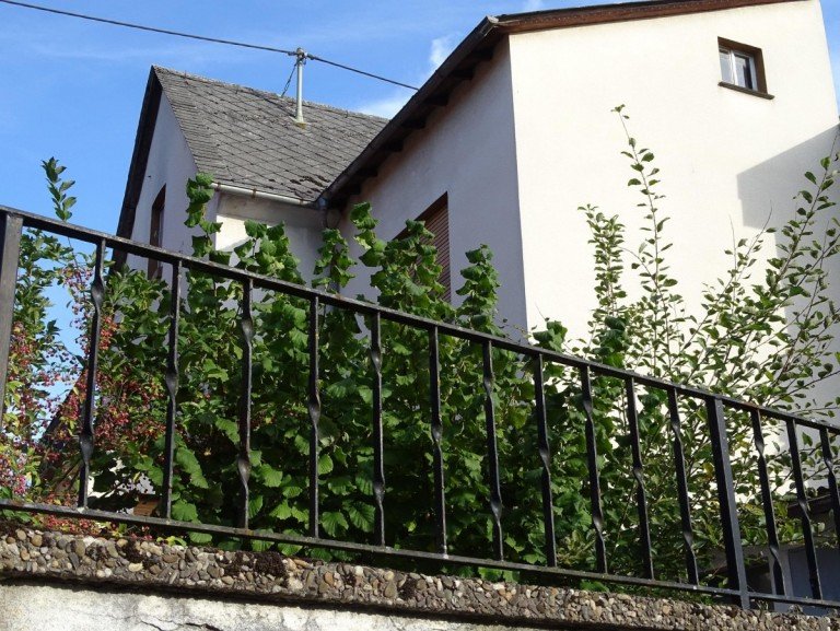 Au�enansicht Villmar Einfamilienhaus Leider verkauft! - Klein und bald Dein? EFH - provisionsfrei!
