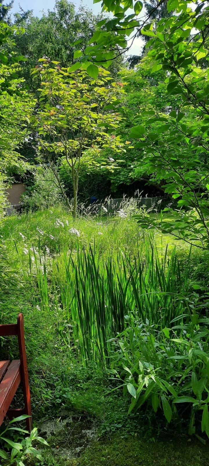 Garten Einfamilienhaus Weilburg