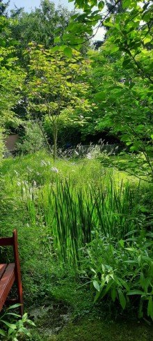 Garten Familienhaus mit traumhaftem Garten - Beste Lage in Weilburg!