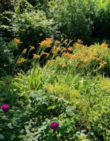 Garten Leider verkauft! Klein, fein - und bald Dein? Jetzt inkl. neuem Dach!! Weilburg/ Ahausen