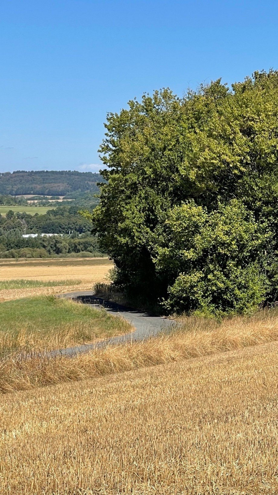 Spazierweg Einfamilienhaus L�hnberg