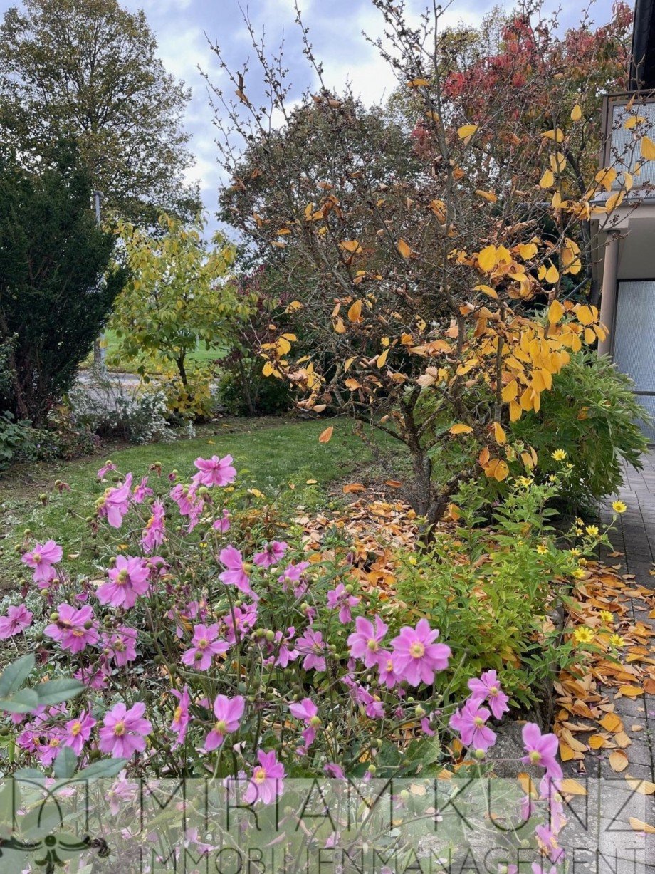 Vorgarten Einfamilienhaus Limburg