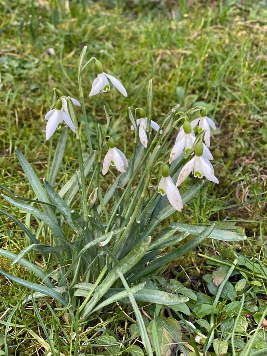 IMG_6341 Einfamilienhaus Villmar